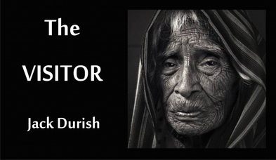 The Visitor